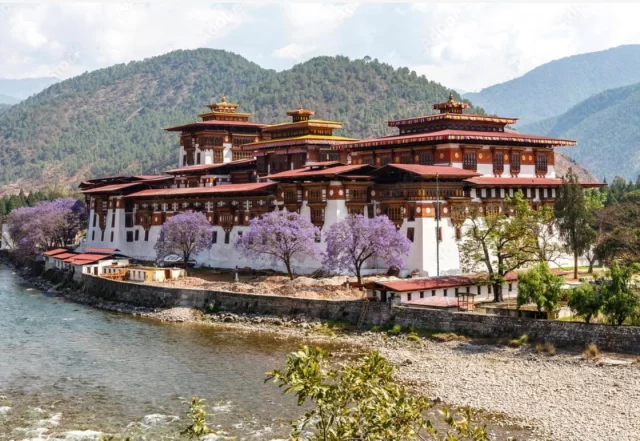 The dzong was constructed by Ngawang Namgyal, in 1637–38. It is the second oldest and second largest dzong in Bhutan and one of its most majestic structures.
.
.
.
.
.
.
#punakhadzong #punakha #bhutanbelieve #heavenlybhutan #pictureoftheday #bhutantourism