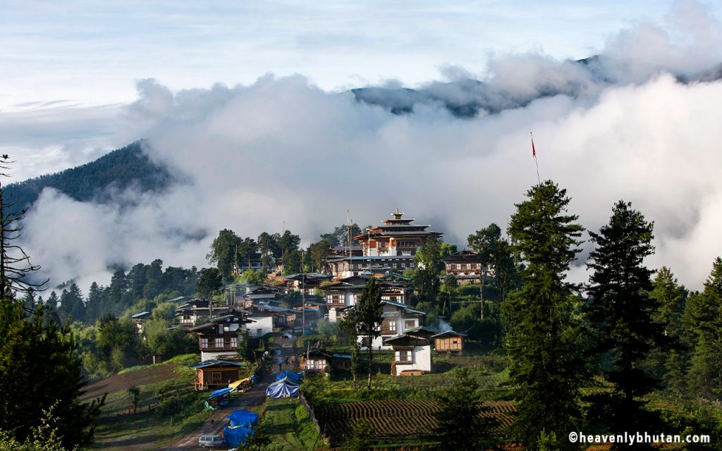 Route to Himalayas, Gangtey Gompa, Phobjikha, Kilkorthang Hike