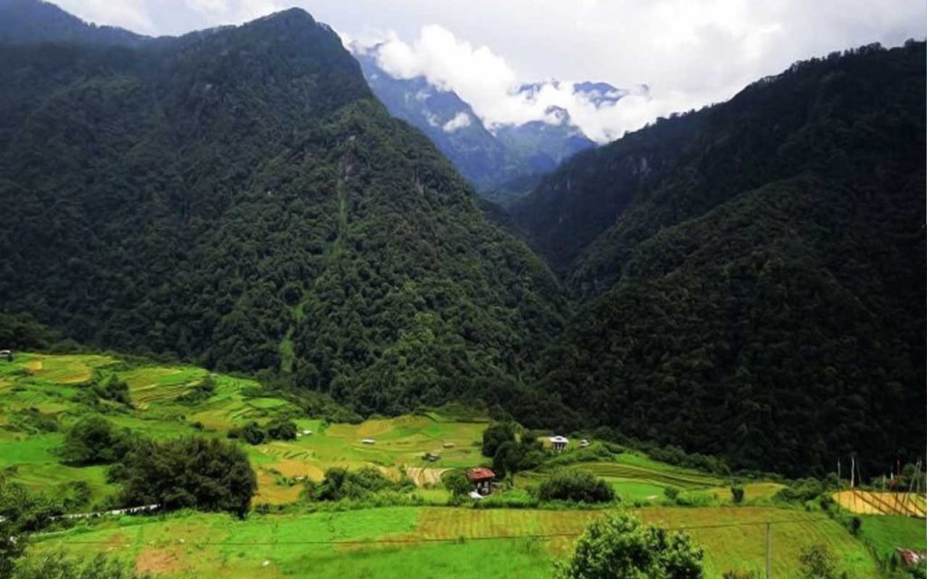 Jigme Dorji Wangchuk National Park, Place to Visit in Thimphu