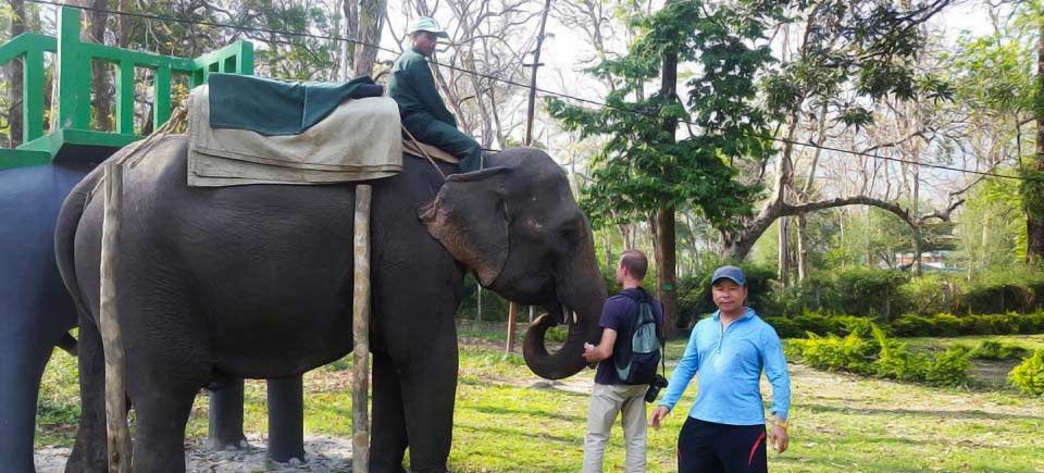 Manas Wildlife Safari, Place to Visit in Zhemgang-Attractions in Zhemgang