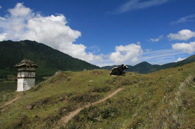 Phobjikha Valley.
.
.
.
.
.
.
#Wangdue #bhutanbelieve #heavenlybhutan #heavenlybhutantravels #bhutan #holidaypackages #picturesoftheday #bhutantourism